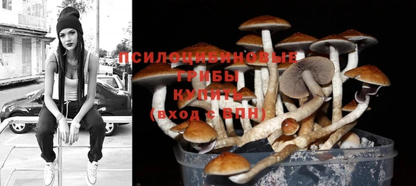 скорость Корсаков