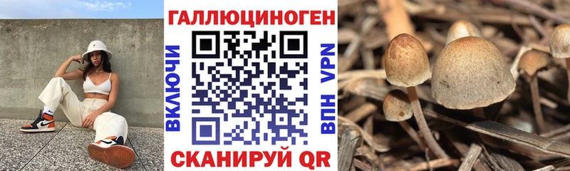 Купить  Кукмор  Галлюциногенные грибы MAGIC MUSHROOMS 