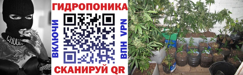 Каннабис Amnesia Кукмор